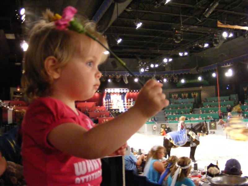 MedievalTimes (33).JPG - My dreamy knight threw me a flower he won in the games!